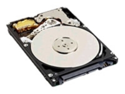 Western Digital Hard Disk 320 GB